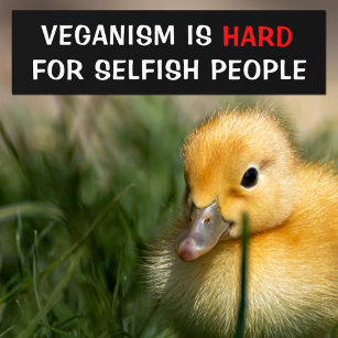 Veganismus ist schwer für egoistische Menschen, Ve Autoaufkleber