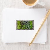 Vegetable Seedlings Adressaufkleber (Insitu)