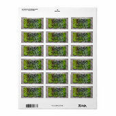Vegetable Seedlings Adressaufkleber (Vorne)