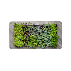 Vegetable Seedlings Adressaufkleber