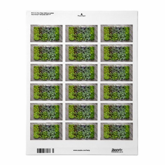 Vegetable Seedlings Adressaufkleber (Vorne)