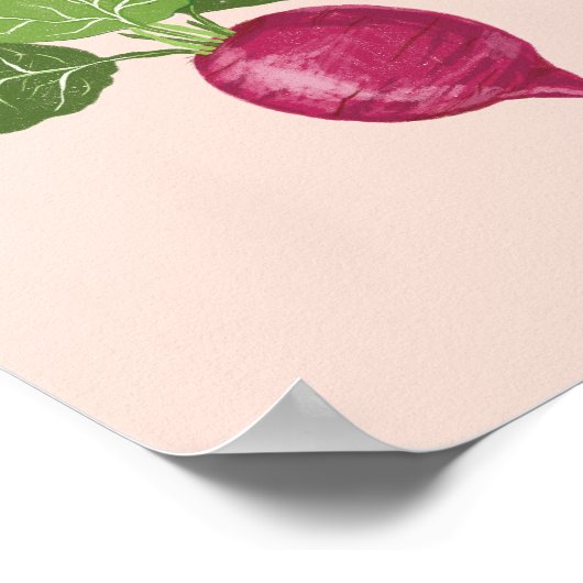 Vegetable wall art - Raddish illustration Poster (Ecke)
