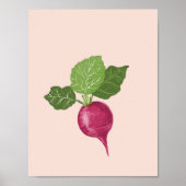 Vegetable wall art - Raddish illustration Poster (Vorne)