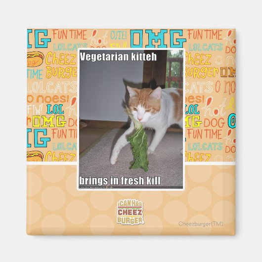 Vegetarian Kitteh Magnet (Vorne)