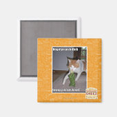 Vegetarian Kitteh Magnet (Vorderseite/Rückseite)