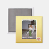 Vegetarian Kitteh Magnet (Vorderseite/Rückseite)