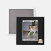 Vegetarian Kitteh Magnet (Vorderseite/Rückseite)