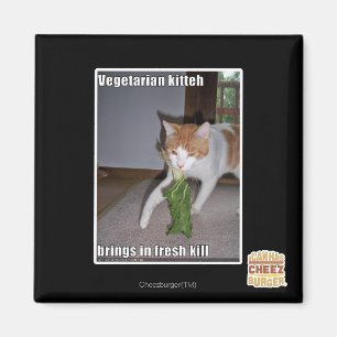 Vegetarian Kitteh Magnet