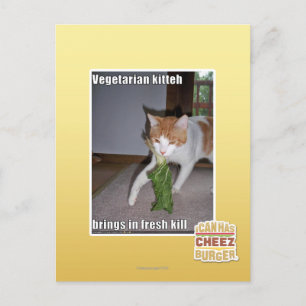 Vegetarian Kitteh Postkarte
