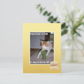 Vegetarian Kitteh Postkarte (Stehend Vorderseite)