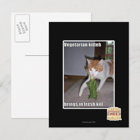 Vegetarian Kitteh Postkarte (Vorne/Hinten)