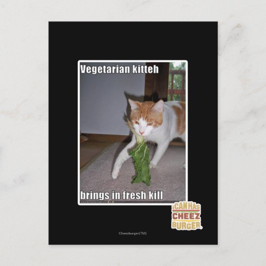 Vegetarian Kitteh Postkarte (Vorderseite)