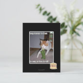 Vegetarian Kitteh Postkarte (Stehend Vorderseite)
