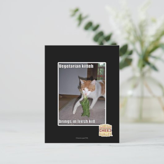 Vegetarian Kitteh Postkarte (Stehend Vorderseite)