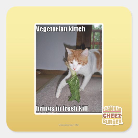 Vegetarian Kitteh Quadratischer Aufkleber (Vorderseite)