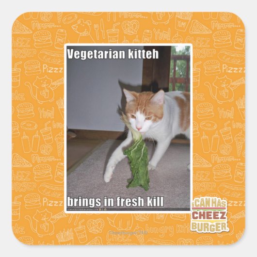 Vegetarian Kitteh Quadratischer Aufkleber (Vorderseite)