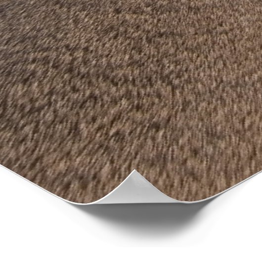 Vegetarier Poster (Ecke)