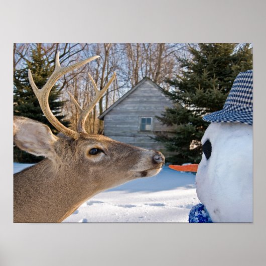 Vegetarier Poster (Vorne)