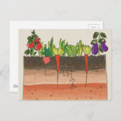 Vegetarische Garten Erde Schichten Natur Kunst Postkarte (Vorne/Hinten)