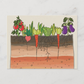 Vegetarische Garten Erde Schichten Natur Kunst Postkarte