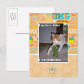 Vegetarische Küche Postkarte (Vorne/Hinten)