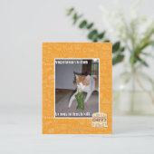 Vegetarische Küche Postkarte (Stehend Vorderseite)