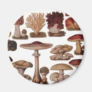 Vegetarischer Hipster Steampunk Vintage Pilz Magnet