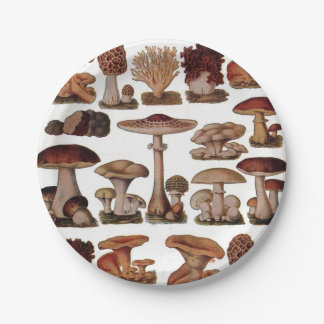 Vegetarischer Hipster-Steampunk-Vintage-Pilz Pappteller