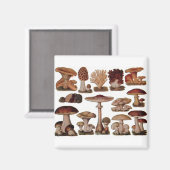 Vegetarischer Hipster Steampunk Vintagen Pilz Magnet (Vorderseite/Rückseite)