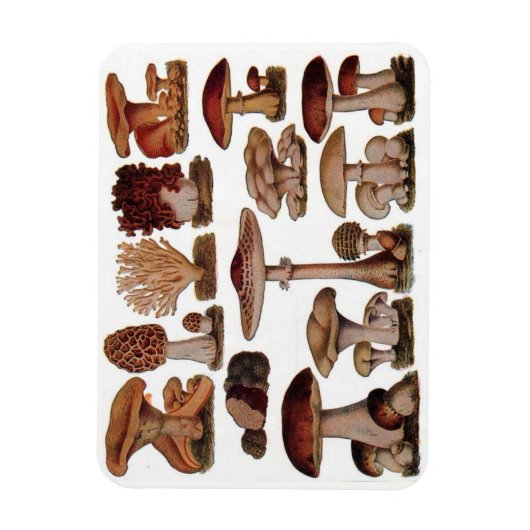 Vegetarischer Hipster Steampunk Vintagen Pilz Magnet (Vertikal)