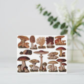 Vegetarischer Hipster Steampunk Vintagen Pilz Postkarte (Stehend Vorderseite)