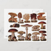 Vegetarischer Hipster Steampunk Vintagen Pilz Postkarte (Vorne/Hinten)