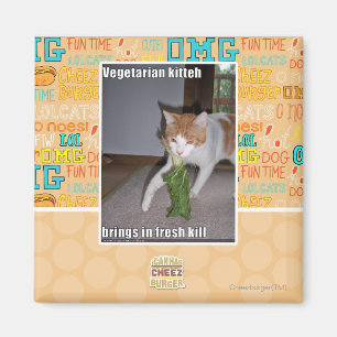 Vegetarischer Kitteh Magnet