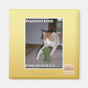 Vegetarischer Kitteh Magnet