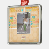 Vegetarischer Kitteh Silbernes Ornament (Links)