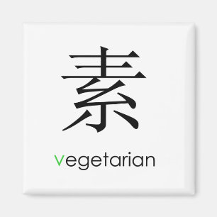 Vegetarischer Orientale Magnet