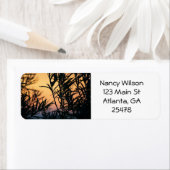 Vegetation bei Sonnenuntergang (Insitu)