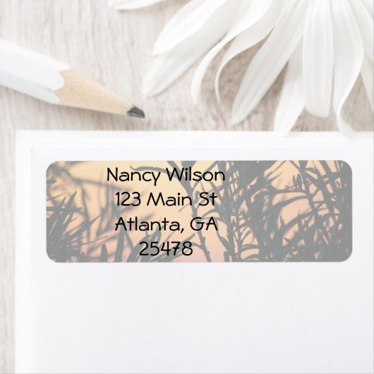 Vegetation bei Sonnenuntergang (Insitu)