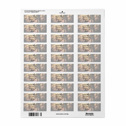 Vegetation bei Sonnenuntergang (Vorne)