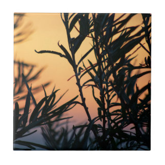Vegetation bei Sonnenuntergang Fliese