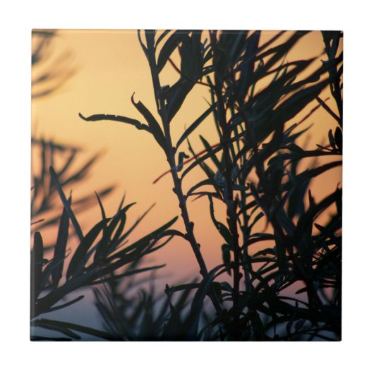 Vegetation bei Sonnenuntergang Fliese (Vorderseite)