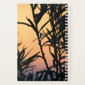 Vegetation bei Sonnenuntergang Planer (Rückseite)