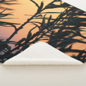 Vegetation bei Sonnenuntergang Sherpadecke (3/4)