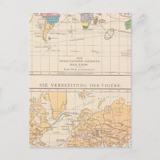 Vegetationsgebiete, Thiere Atlas Karte (Vorderseite)
