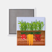 Veggie Garden Magnet (Vorderseite/Rückseite)