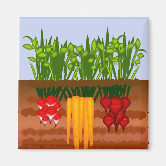 Veggie Garden Magnet (Vorne)