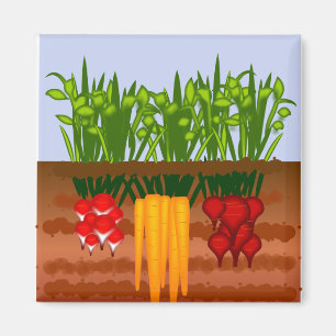 Veggie-Garten Magnet