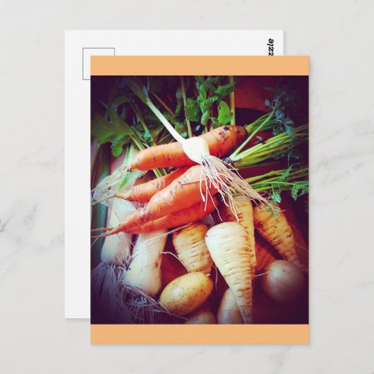 Veggies Postkarte (Vorne/Hinten)