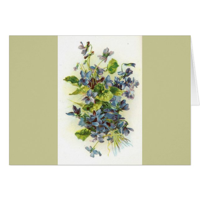 Veilchen (Vorderseite (Horizontal))