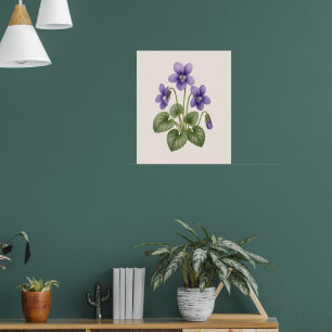 Veilchen Botanik, Februar-Geburtsblume Poster